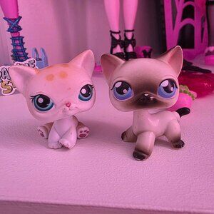 Littlest Pet Shop Shorthair Lot #224 Short Hair Cat with Spots & LPS #5